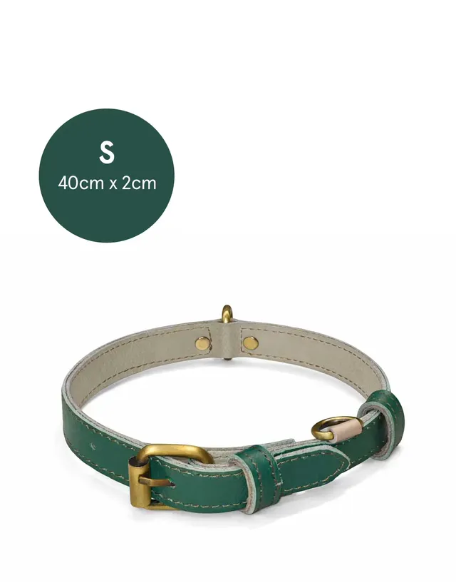 soruka-hundehalsband-bunt-recycling-leder-gr-s image 1